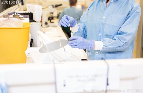 Image of Researcher Experimenting In Laboratory