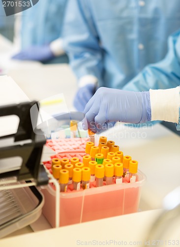 Image of Scientist Working With Testtubes