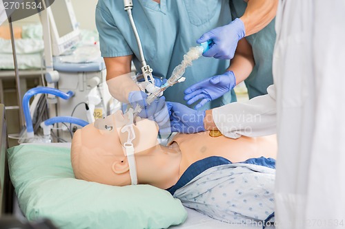 Image of Medical Team Adjusting Endotracheal Tube On Dummy