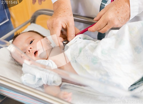 Image of Doctor's Hands Examining Newborn Babygirl In Hospital