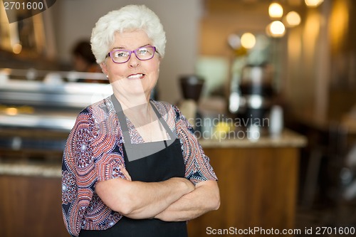 Image of Senior Coffee Shop Owner