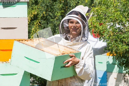 Image of Portrait Of Beekeeper Working At Apiary