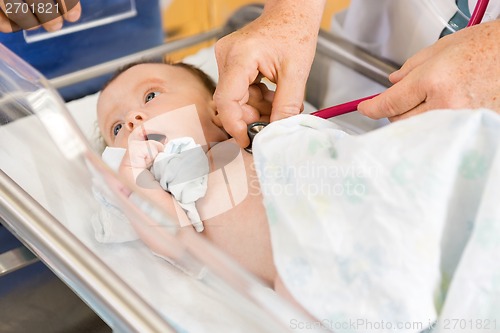 Image of Female Doctor's Hands Examining Newborn Babygirl In Hospital