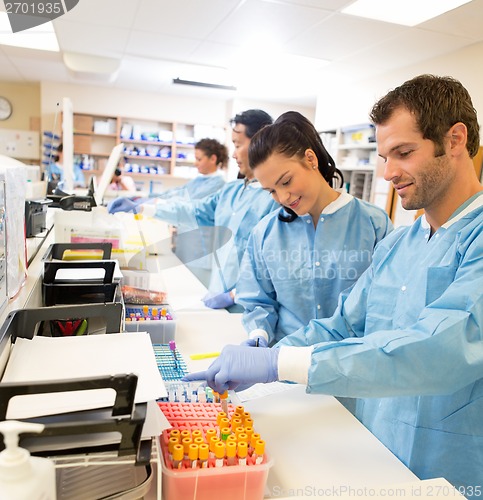 Image of Researchers Experimenting In Laboratory