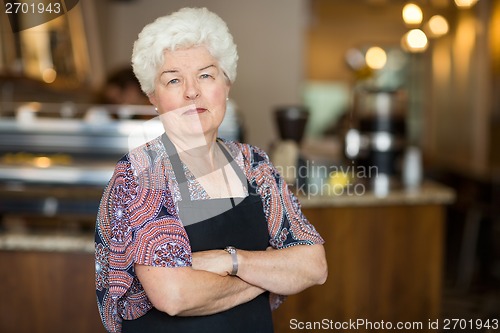 Image of Senior Business Owner in Cafe