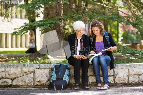 Image of University Professor Assisting Student