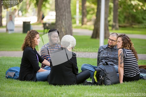 Image of Multiethnic Friends Relaxing On Grass At Campus