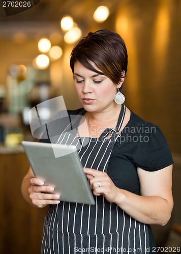 Image of Owner Using Digital Tablet In Cafe