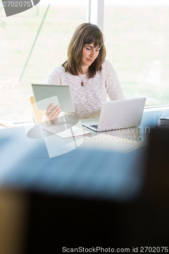 Image of College Student Studying In Library