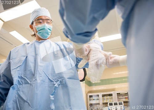 Image of Nurse Assisting Doctor In Wearing Surgical Glove