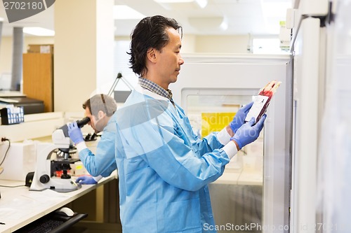 Image of Red Blood Cells in Hospital Lab