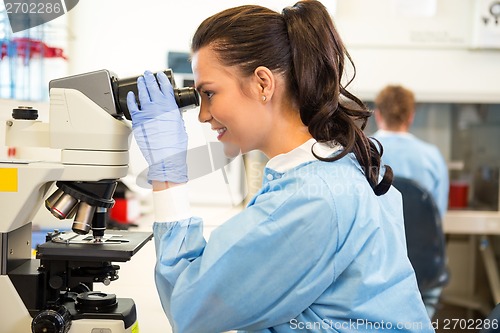 Image of Scientist Using Microscope In Laboratory