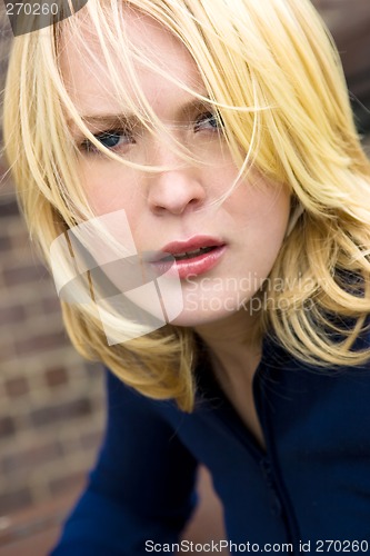 Image of Serious Blond Haired Beauty