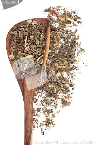 Image of Borage Herb