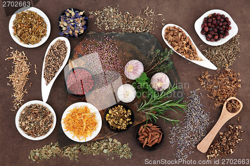 Image of Medicinal and Magical Herbs