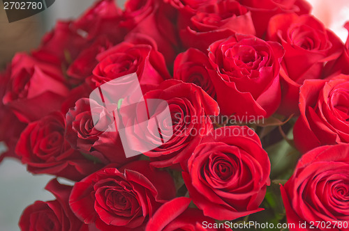 Image of roses background