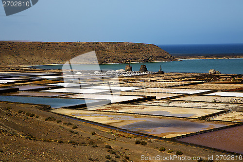 Image of salt in  lanzarote stone s  water  coastline and summer 