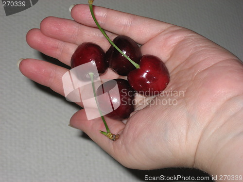 Image of Hand with cherries