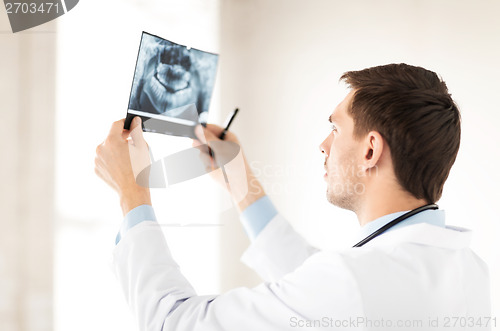 Image of male doctor or dentist looking at x-ray