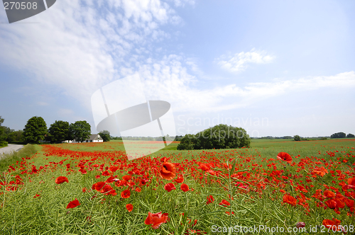 Image of Farmland