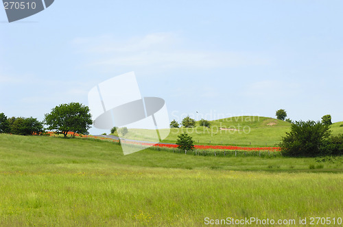 Image of Landscape