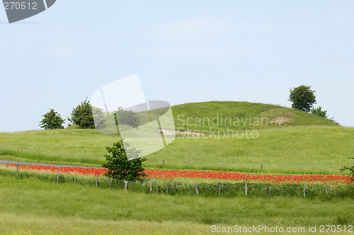 Image of Landscape
