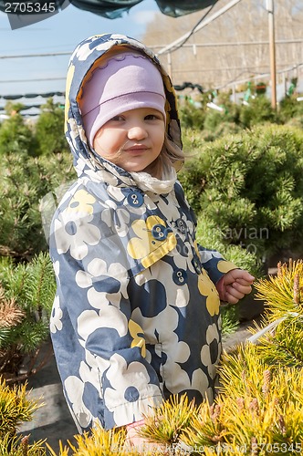 Image of Little girl in saplings shop