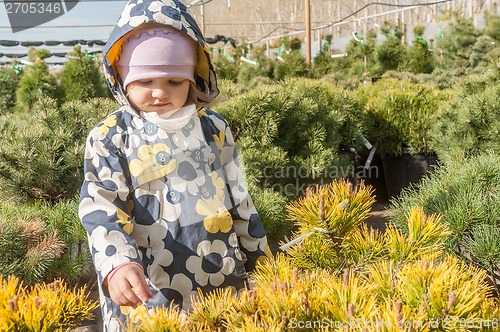 Image of Little girl in saplings shop