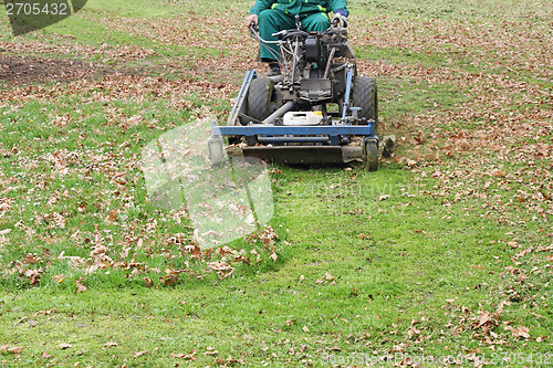 Image of Mowing grass_1