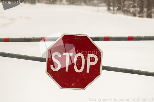 Image of stop sign after a freshly fallen snow. 