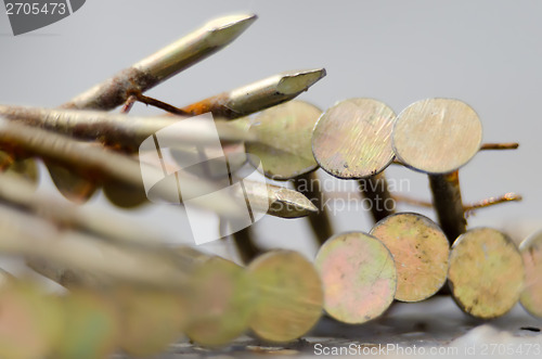 Image of construction nails for a nail gun on a gray background