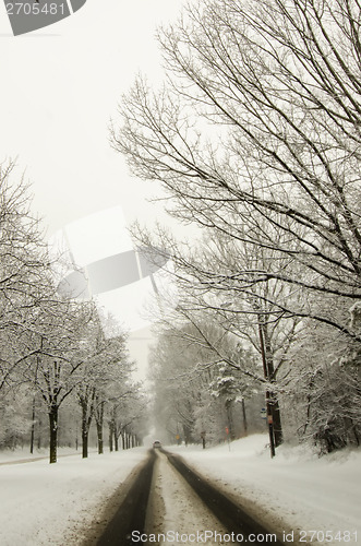 Image of snow covered road and trees after winter storm