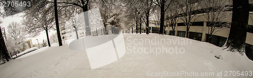 Image of snow covered road and trees after winter storm