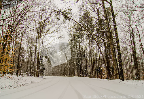 Image of snow covered road and trees after winter storm