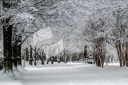 Image of snow covered road and trees after winter storm