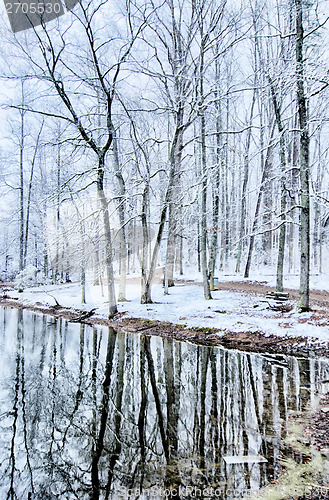 Image of tree line reflections in lake during winter snow storm