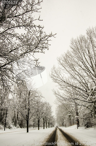 Image of snow covered road and trees after winter storm