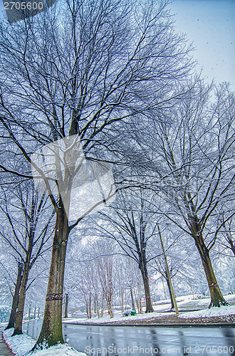 Image of snow covered road and trees after winter storm