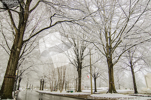 Image of snow covered road and trees after winter storm