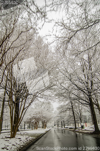 Image of snow covered road and trees after winter storm