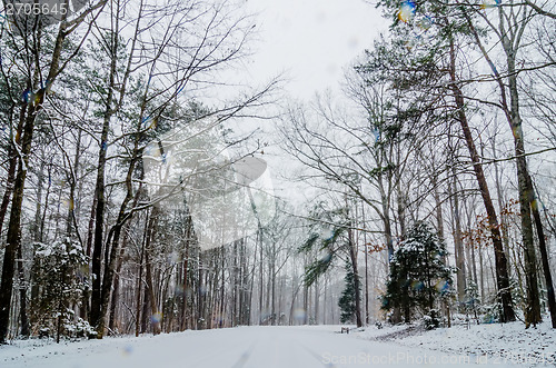 Image of snow covered road and trees after winter storm