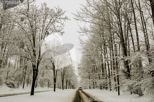 Image of snow covered road and trees after winter storm