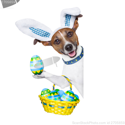 Image of dog easter bunny