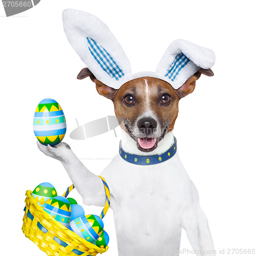 Image of dog easter bunny