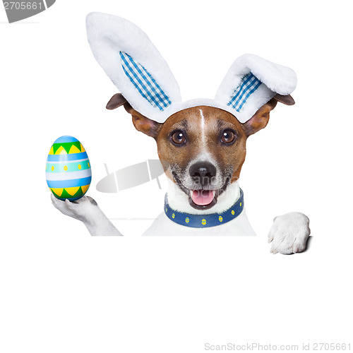 Image of dog easter bunny