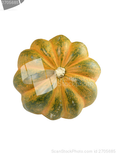 Image of Acorn Squash