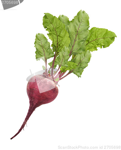 Image of Beetroot With Leaves Isolated On White