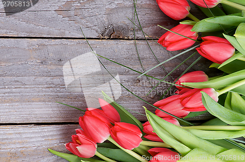 Image of Spring Tulips