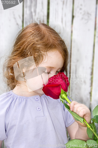Image of Smelling a Rose