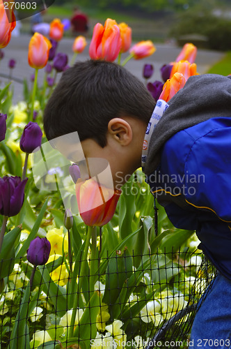 Image of Smelling Flower